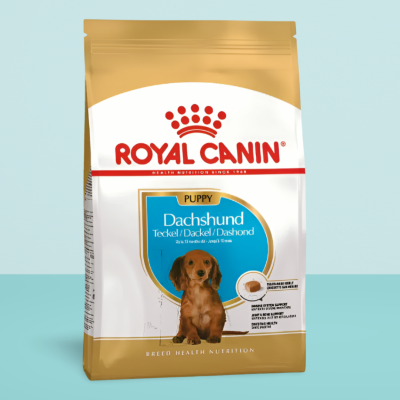 Royal Canin Dachshund Puppy 