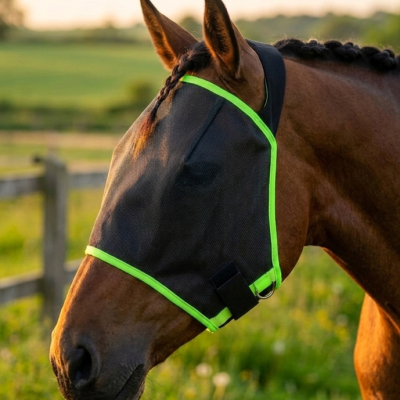 Fly Mask
