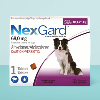 NexGard Dog Single Pack Chewable Tick & Flea