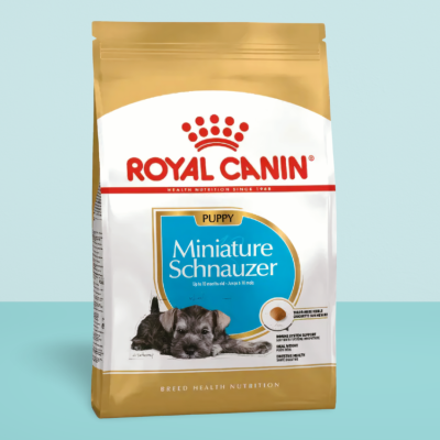 Royal Canin Miniature Schnauzer Puppy 