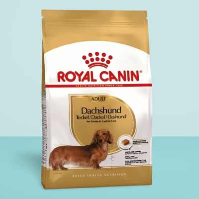 Royal Canin Dachshund Adult 