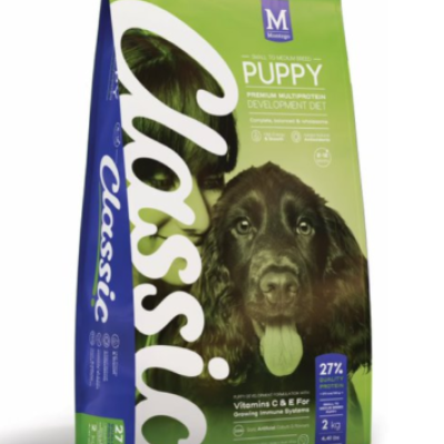 Montego Classic Puppy