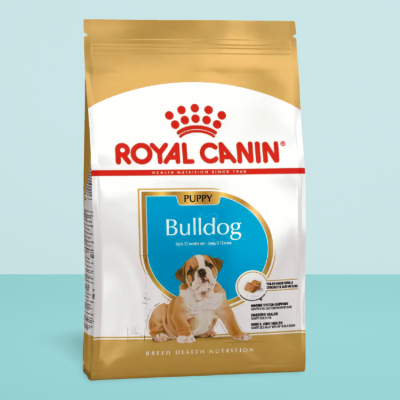 Royal Canin English Bulldog Puppy